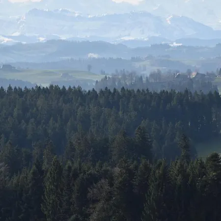 Vorderleggiswil Wynigen