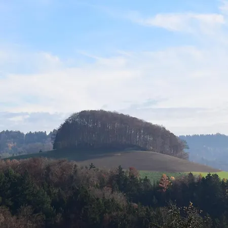 Couette-café Vorderleggiswil *